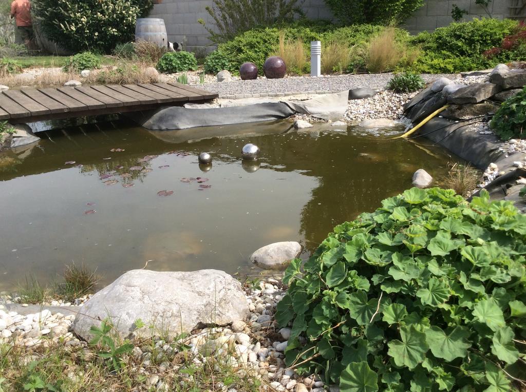 Lakeside Villa 法劳恩科琴 外观 照片